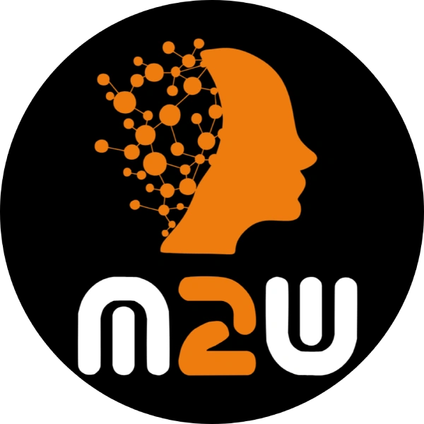 logo meet2web srl web agency firenze realizzazzione siti web
